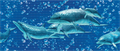 Панель ПВХ Мозаика 0.3 Дельфины 957х480 мм - фото 31821